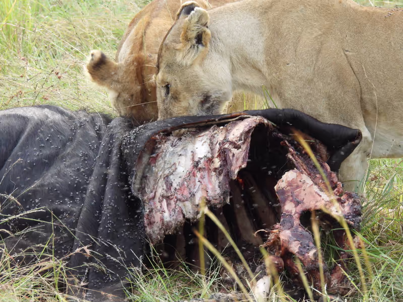 Rift Valley Private Tour - 