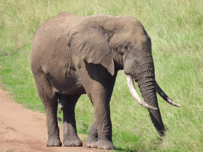 Rift Valley Private Tour - 
