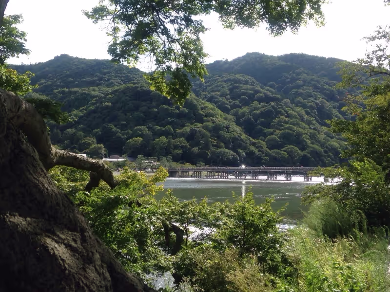 Kyoto Private Tour - Togetsu Bridge in Arashiyama
