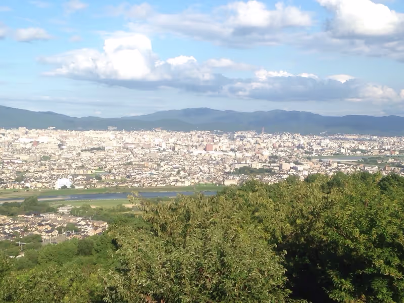 Kyoto Private Tour - Monkey's park view of Kyoto in Arashiyama