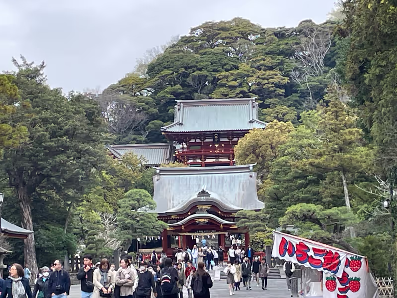 Kamakura Private Tour - Tsurugaoka Hachimangu — the spirit of Kamakura