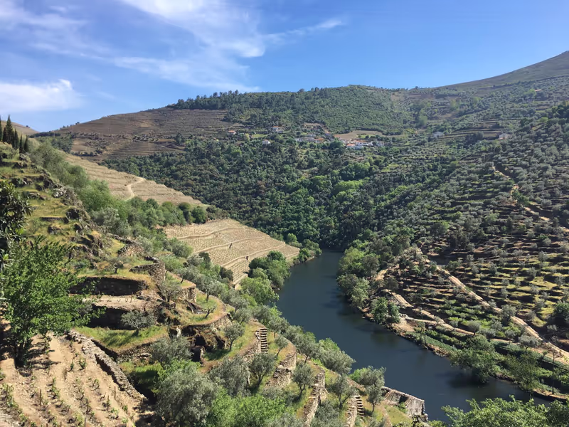 Lisbon Private Tour - Douro Landscape
