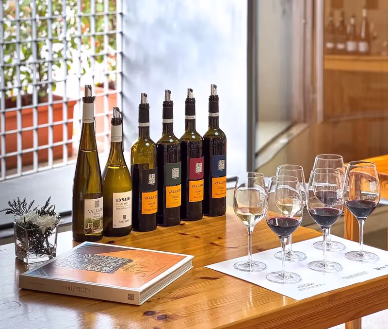 Lisbon Private Tour - Vallado Tasting