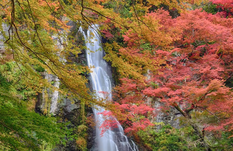 Osaka Private Tour - 