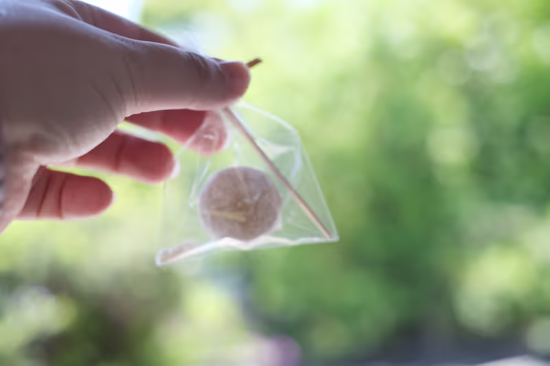 Toyama Private Tour - Tokonatsu (mochi with sweet white beans)