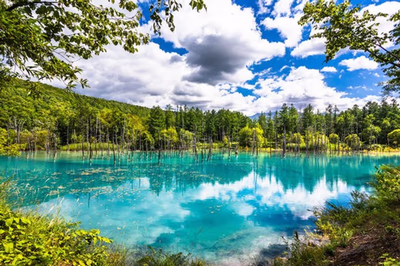 Sapporo Private Tour - 