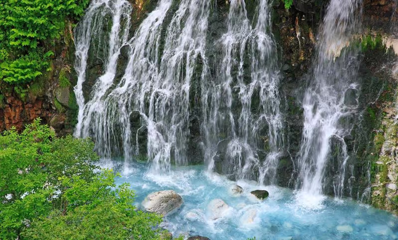 Sapporo Private Tour - 
