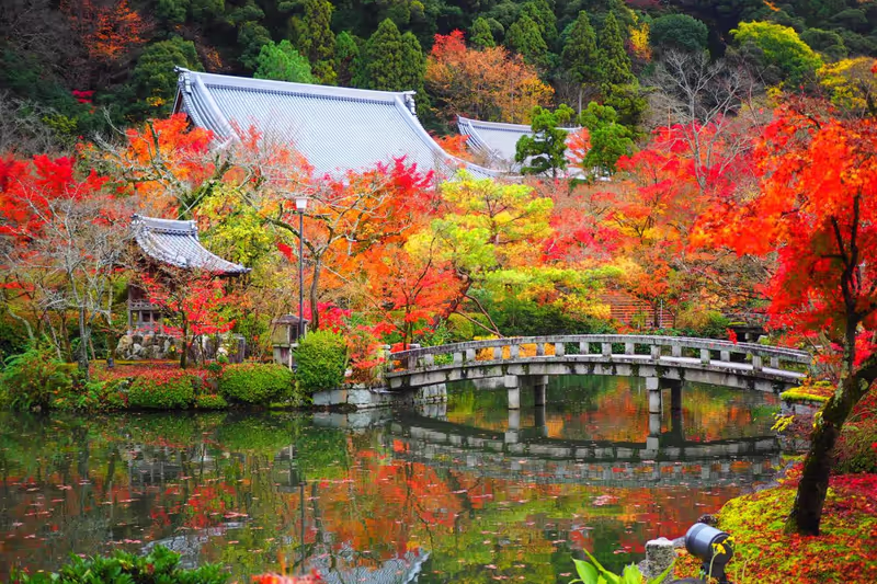 Kyoto Private Tour - Eikando