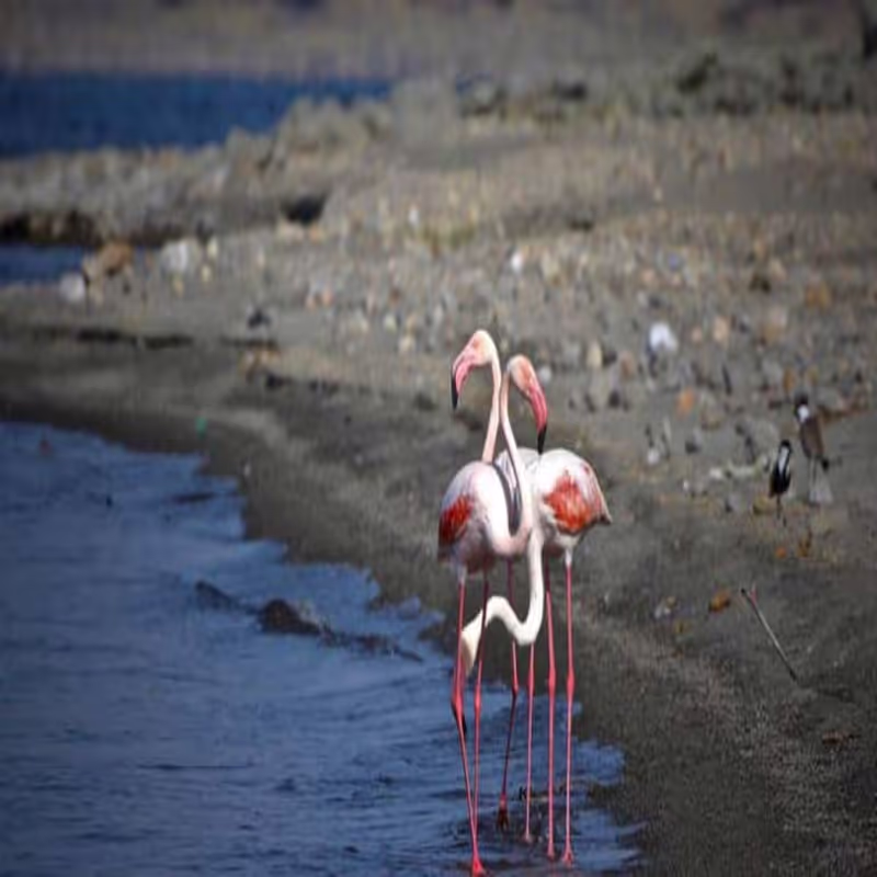 Addis Ababa Private Tour - 