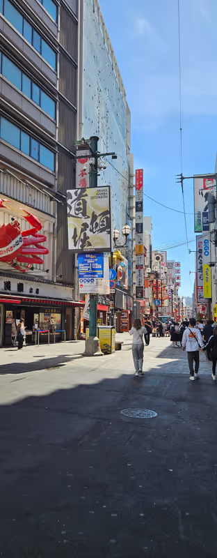 Osaka Private Tour - Dotonbori