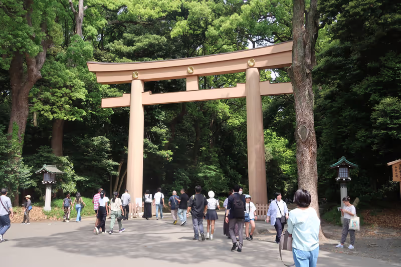 Tokyo Private Tour - Torii gate in Meiji Jingu Shrine