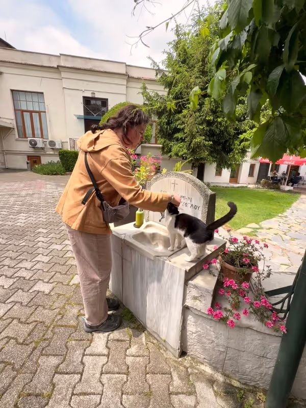 Istanbul Private Tour - Catstanbul