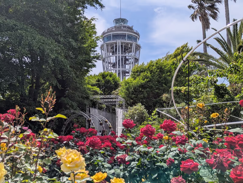 Kanagawa Private Tour - 