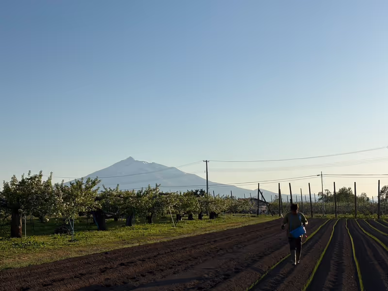 Aomori Private Tour - Mt. Iwaki
