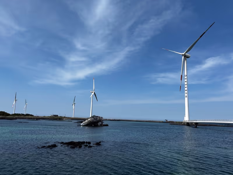 Jeju Private Tour - 