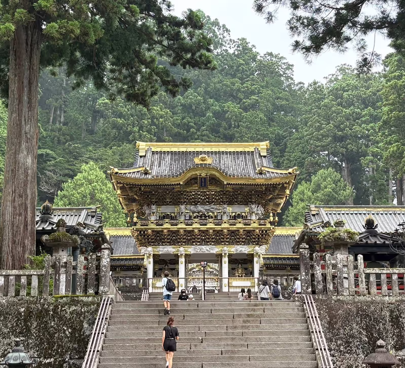 Nikko Private Tour - 