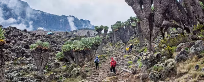 Kilimanjaro Private Tour - 