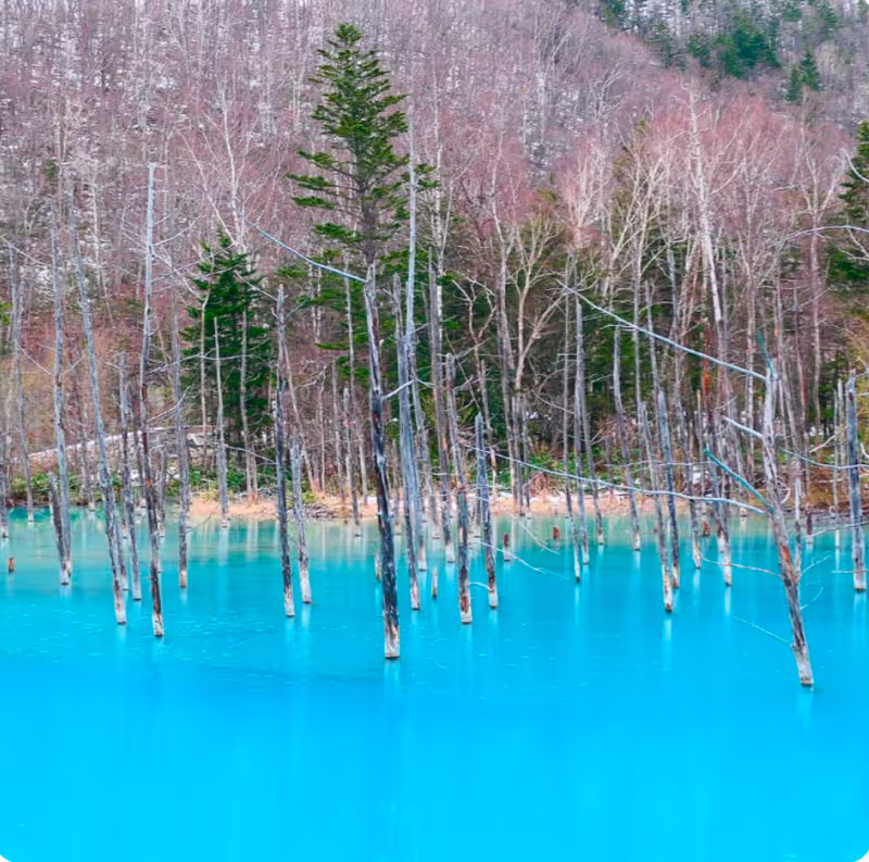 Hokkaido Private Tour - Blue pond