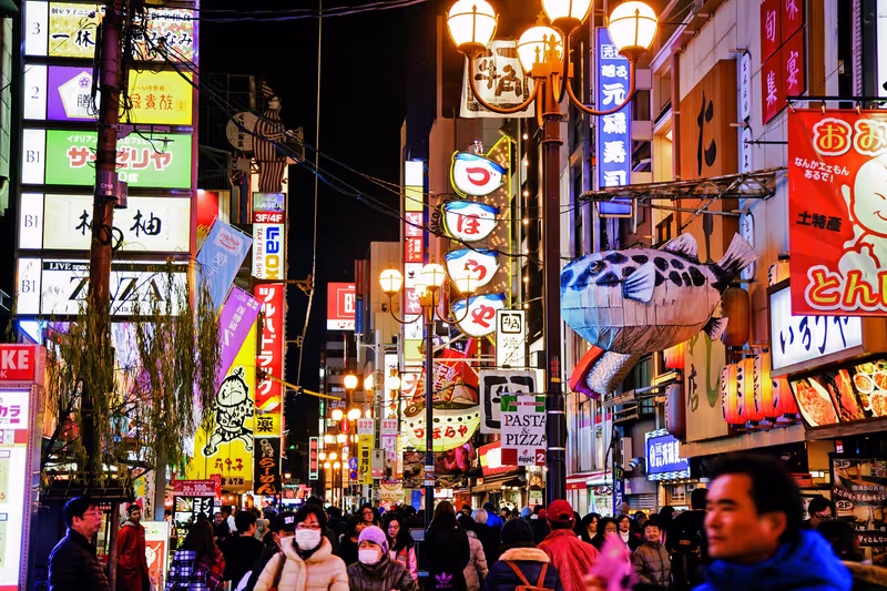 Osaka Private Tour - 