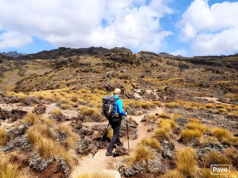 Kilimanjaro Private Tour - 