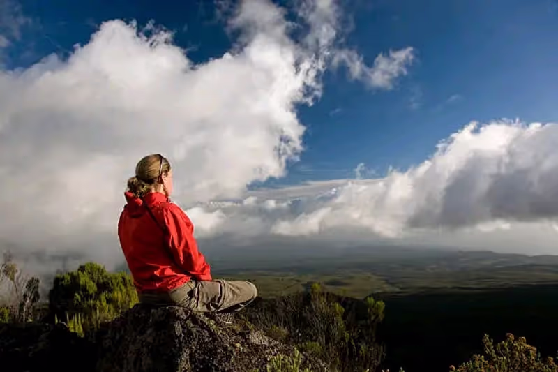 Kilimanjaro Private Tour - 