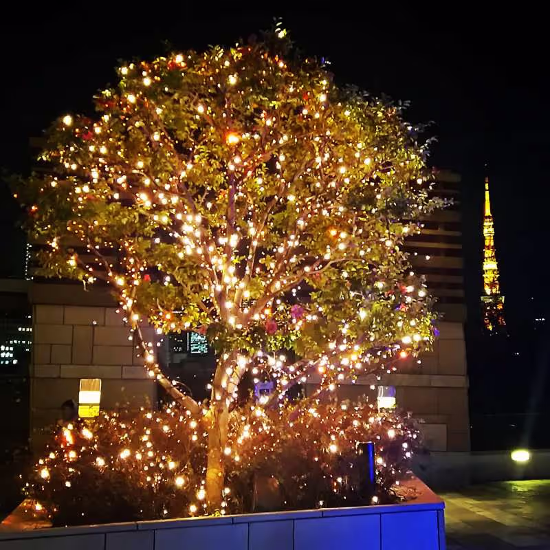 Kyoto Private Tour - Roppongi Hills