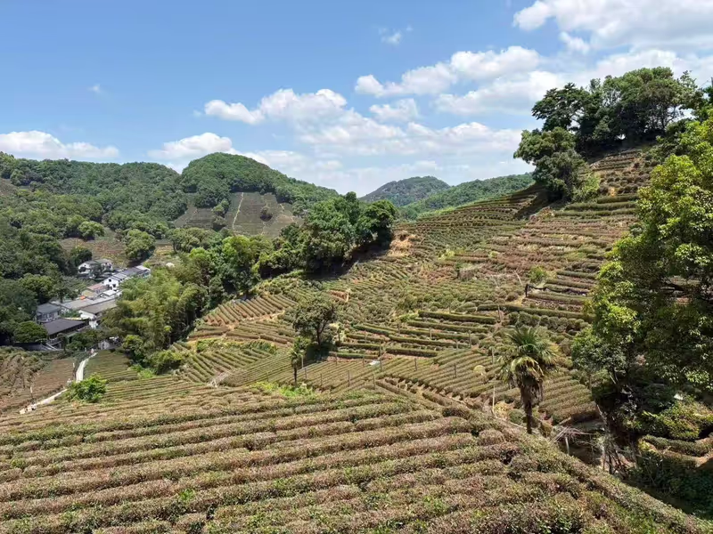 Hangzhou Private Tour - 