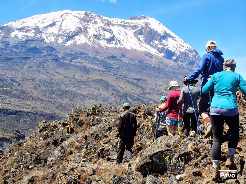 Kilimanjaro Private Tour - Mount Kilimanjaro Trekking Shira Route