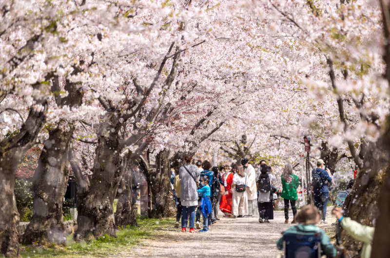 Aomori Private Tour - 