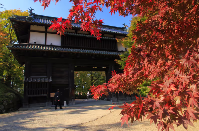 Aomori Private Tour - 