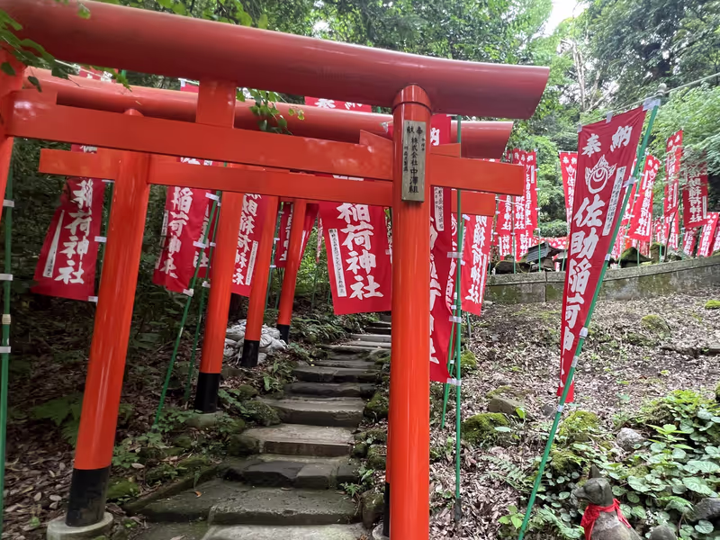 Kamakura Private Tour - Sasuke Inari Shrine