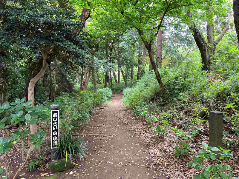 Kamakura Private Tour - Genji-yama Hiking Course
