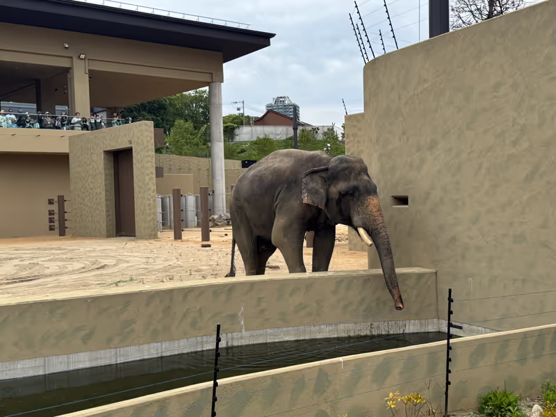 Osaka Private Tour - Tennoji Zoo