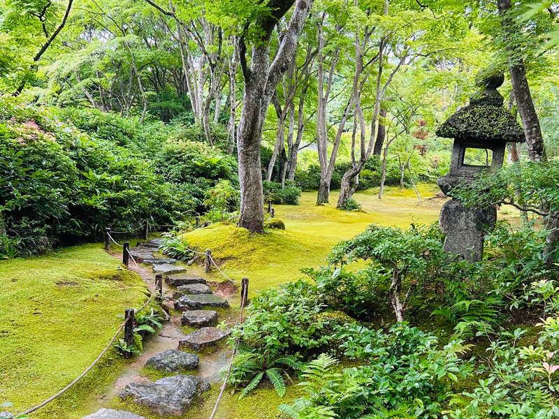 Kyoto Private Tour - 