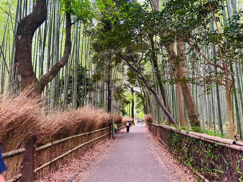 Kyoto Private Tour - 