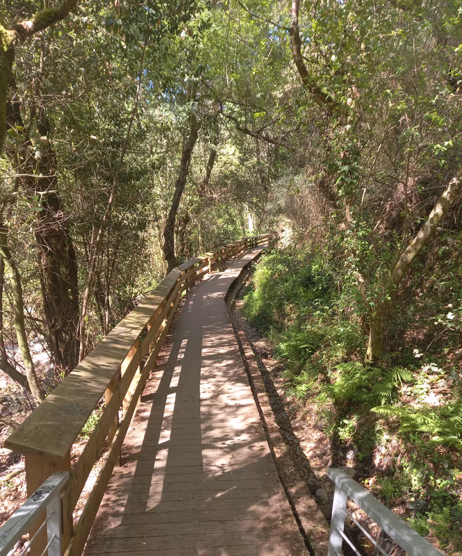 Coimbra Private Tour - Walkway