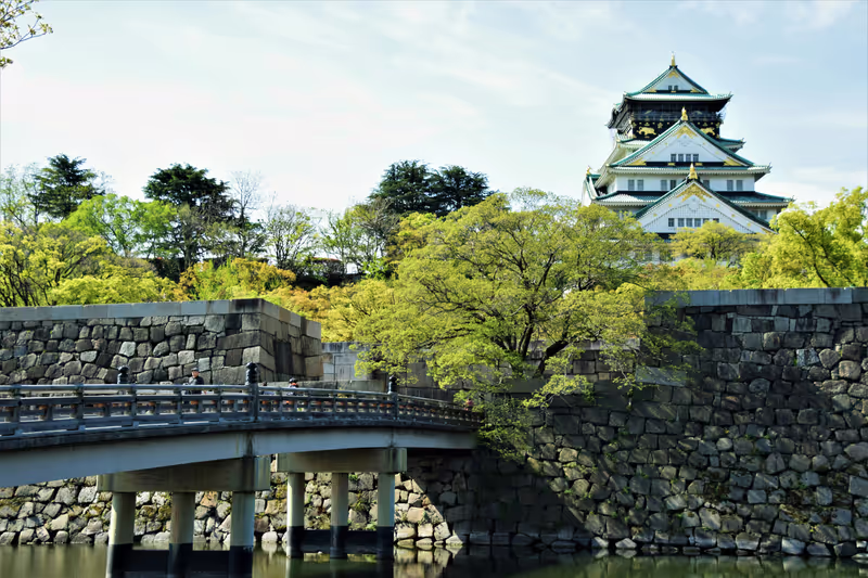 Osaka Private Tour - 