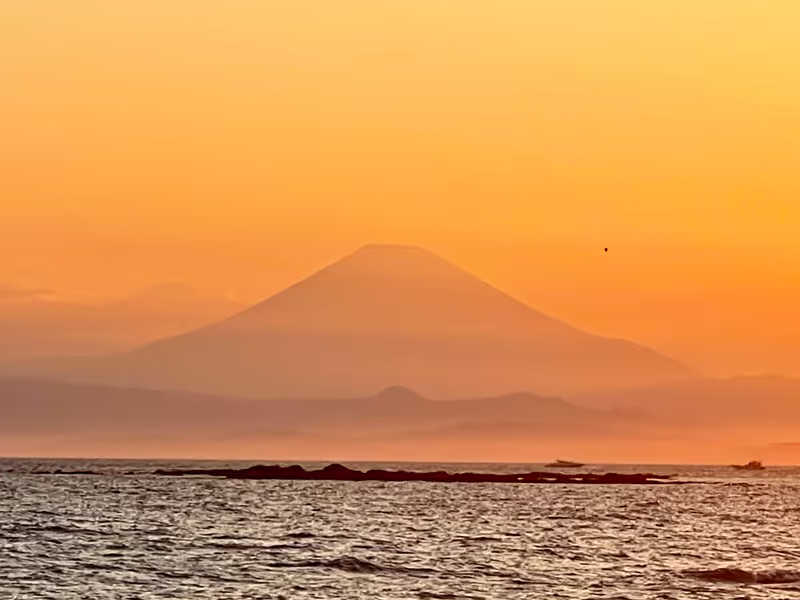 Kanagawa Private Tour - 