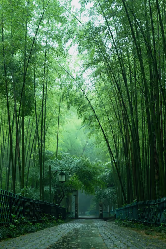 Hangzhou Private Tour - 
