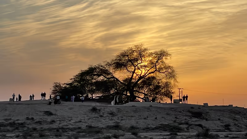 Al Manamah Private Tour - Tree of life