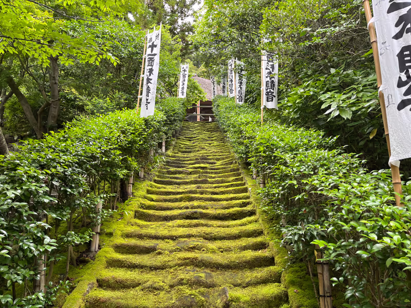 Kamakura Private Tour - Beautiful stone staircase covered with moss