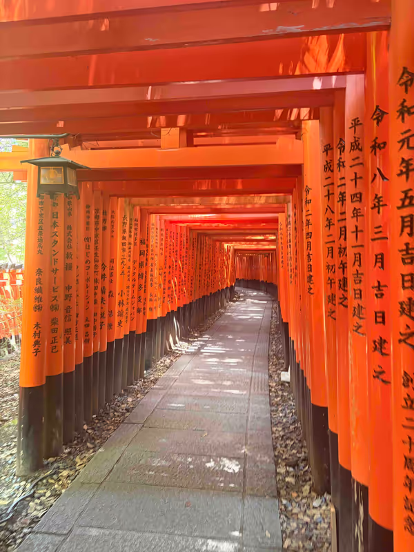 Kyoto Private Tour - 