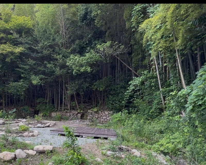 Hyogo Private Tour - 