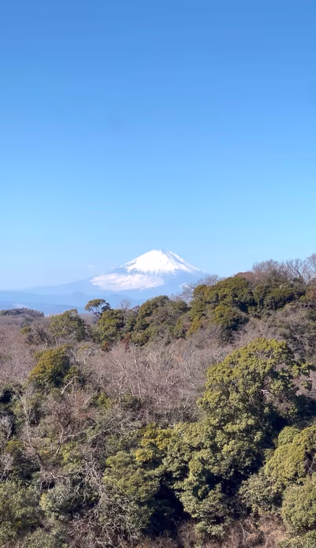 Kamakura Private Tour - View from Hansobo, Kenchoji