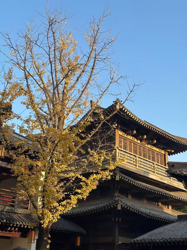 Hangzhou Private Tour - 