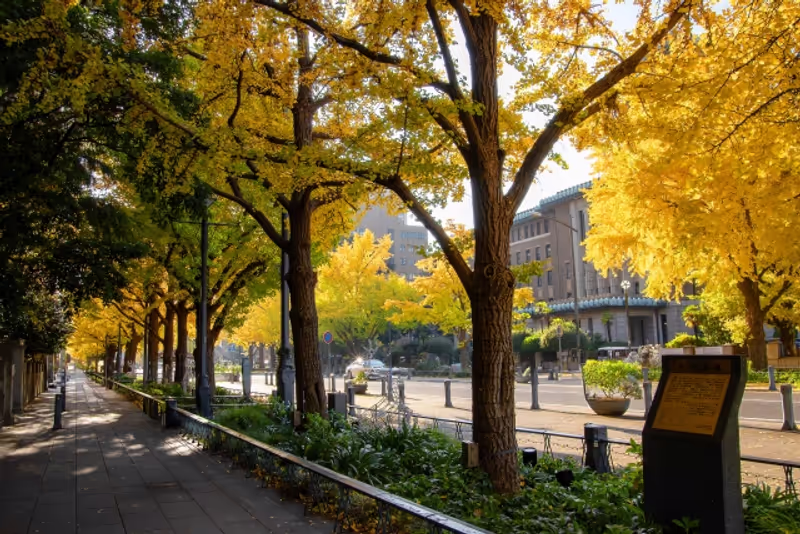 Yokohama Private Tour - Nihon-Odori Avenue