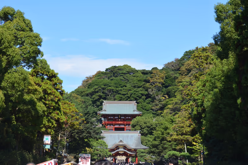 Tokyo Private Tour - Sanctuaire shintoïste Tsurugaoka Hachimangu