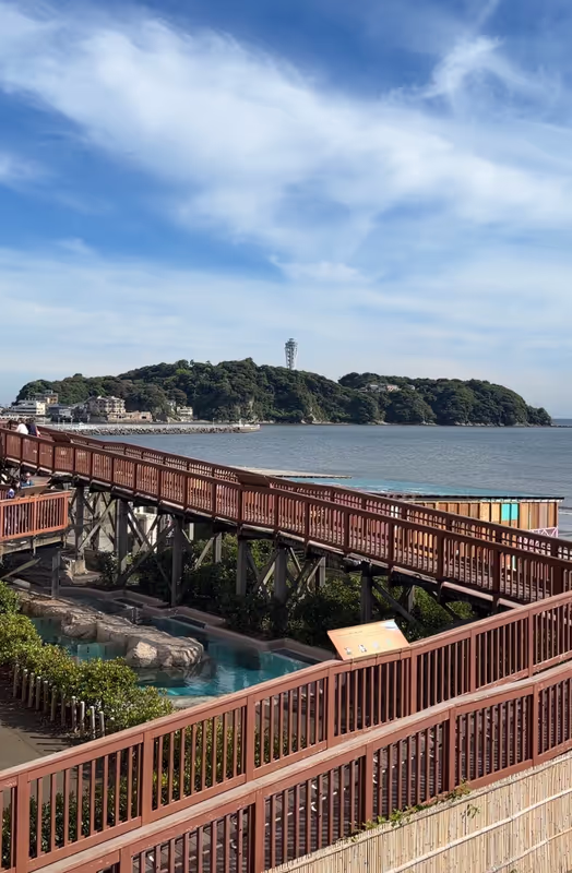 Kamakura Private Tour - Enoshima Island