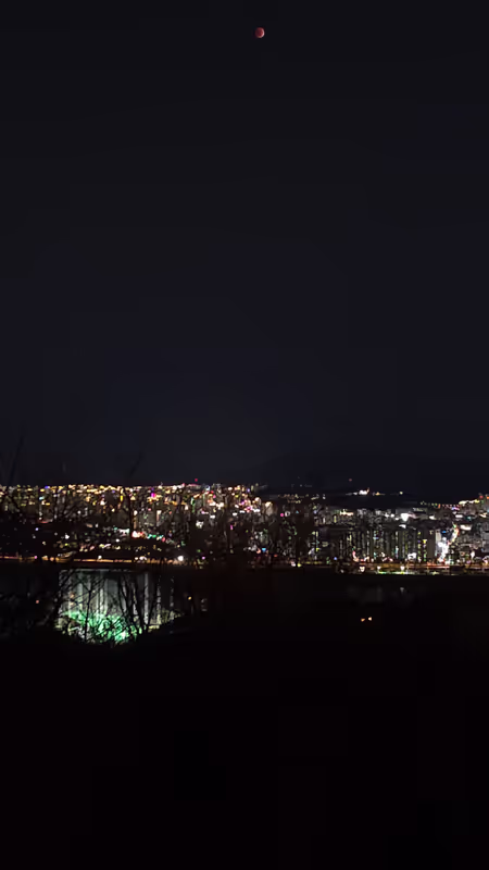 Seoul Private Tour - Red Moon