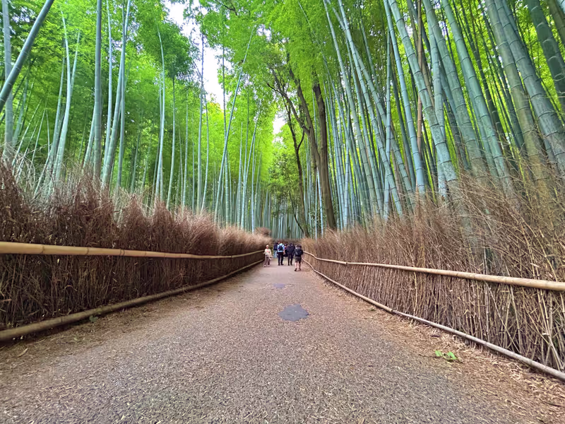Kyoto Private Tour - Arashiyama Bamboo Forest